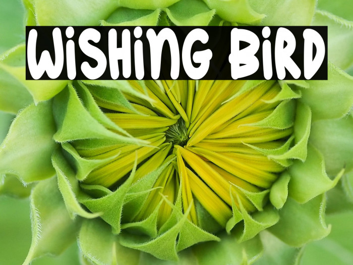 Wishing Bird Example 2