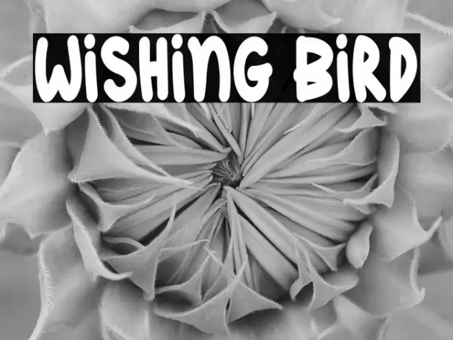 Wishing Bird Schriftart examples