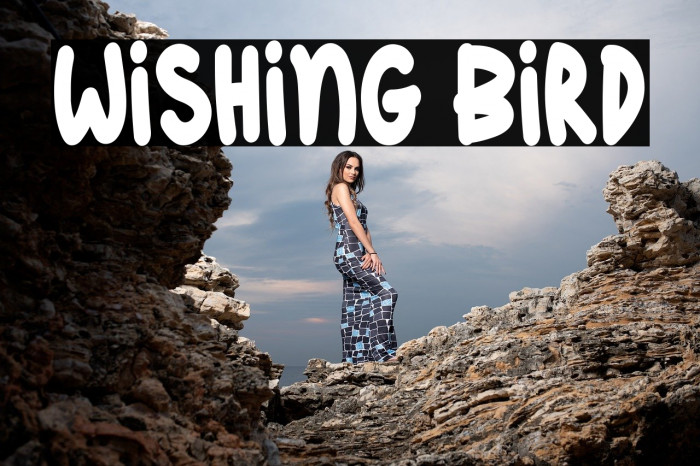 Wishing Bird Example 3