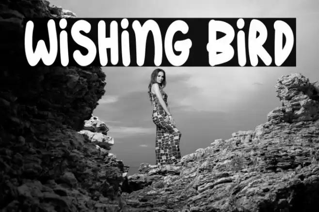 Wishing Bird Schriftart examples