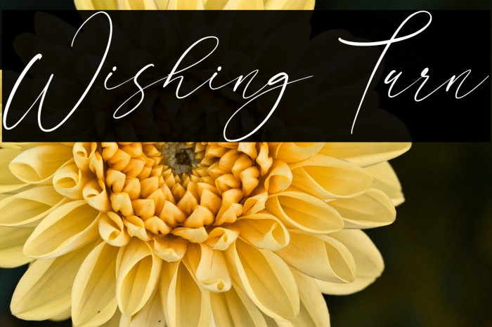 Wishing Turn Example 2