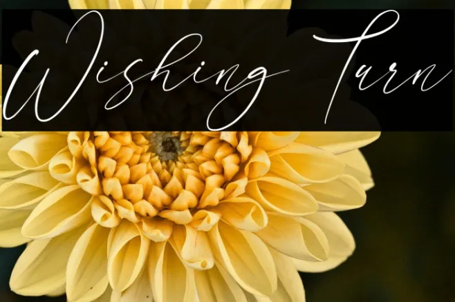 Wishing Turn Example 2