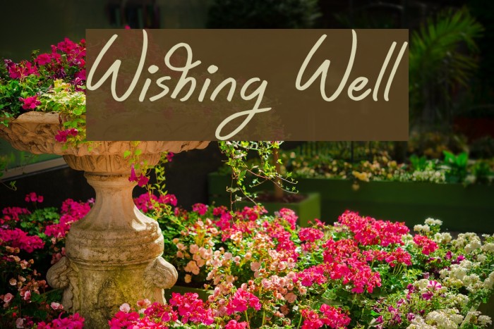 Wishing Well Шрифта examples