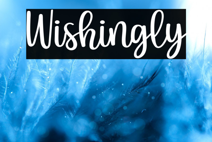 Wishingly Example 2