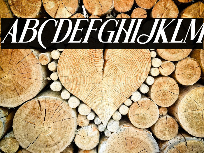 Wishleman Italic Example 2