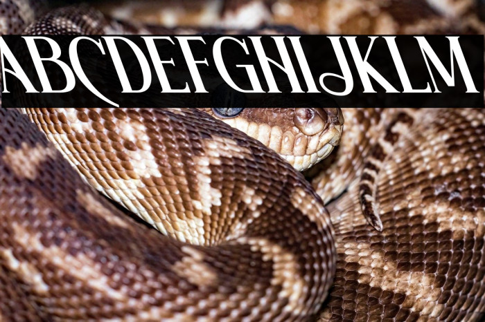 Wishleman Oblique Example 3