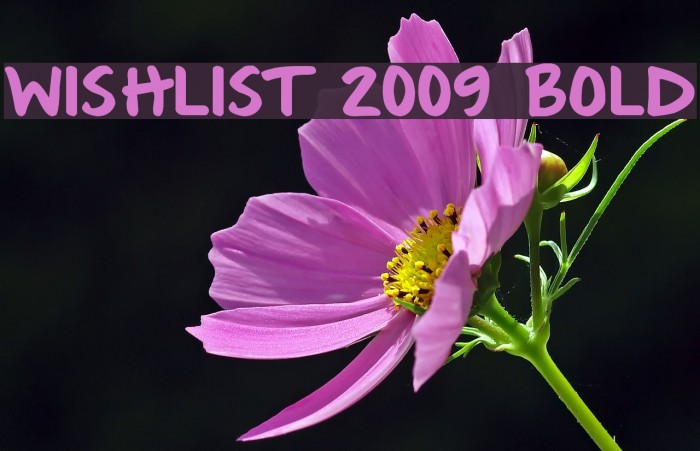 Wishlist 2009 Bold Font examples