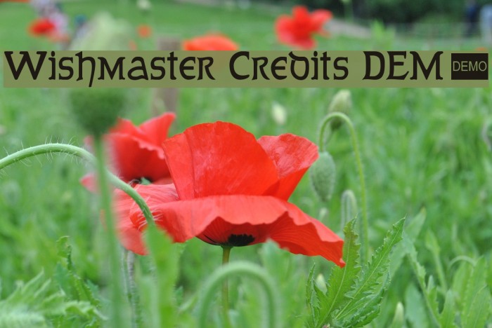 Wishmaster Credits DEMO Font examples