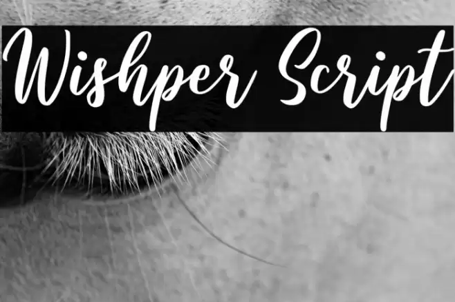 Wishper Script Font examples