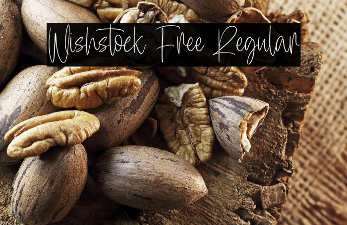 Wishstock Free Regular Example 1