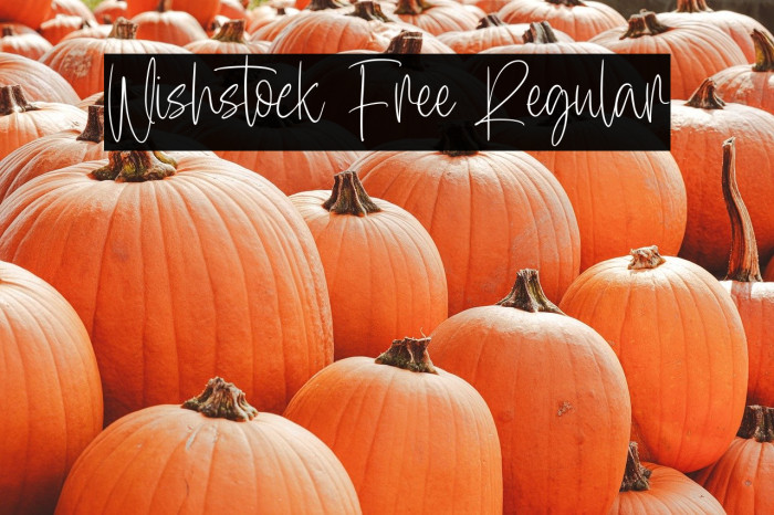 Wishstock Free Regular Example 3