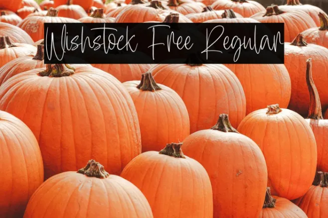 Wishstock Free Regular Example 3