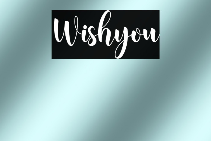 Wishyou Example 1