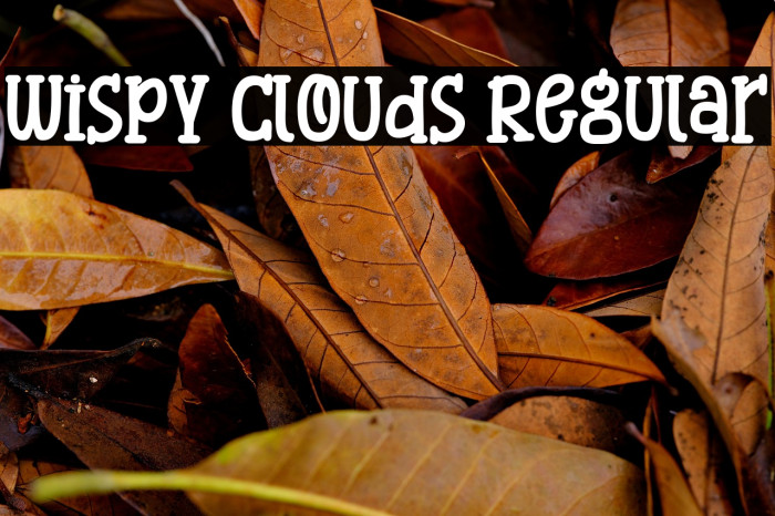 Wispy Clouds Regular Example 3