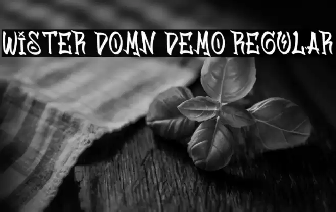 Wister Domn Demo Regular Caratteri examples