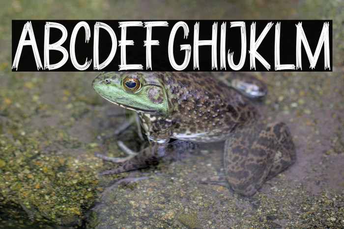 Witch Ghost Example 3