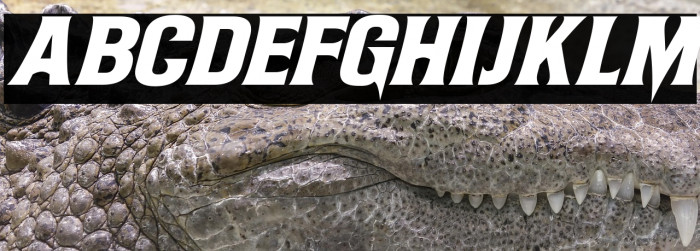 Witch Magic Italic Example 2