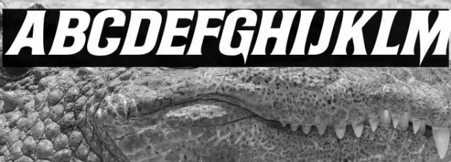 Witch Magic Italic フォント examples