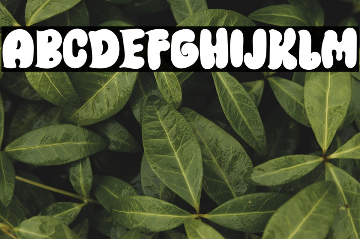 Witch Strong Example 1