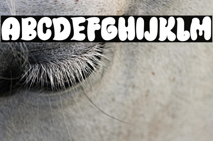 Witch Strong Example 3