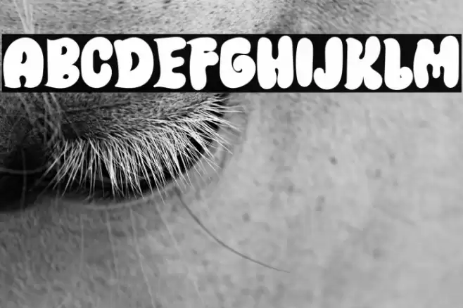 Witch Strong Font examples