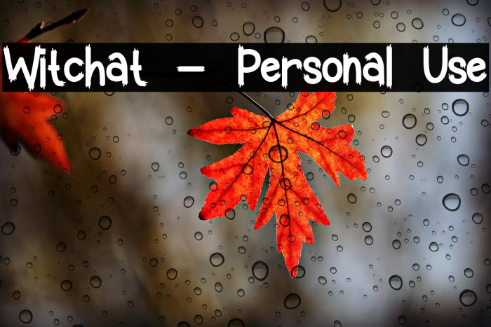 Witchat - Personal Use Example 1