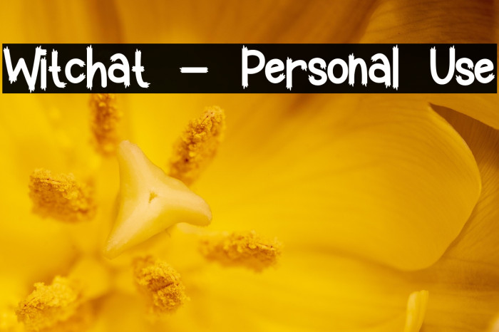 Witchat - Personal Use Example 2