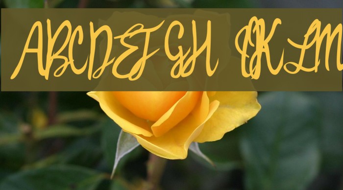 Witched Font examples