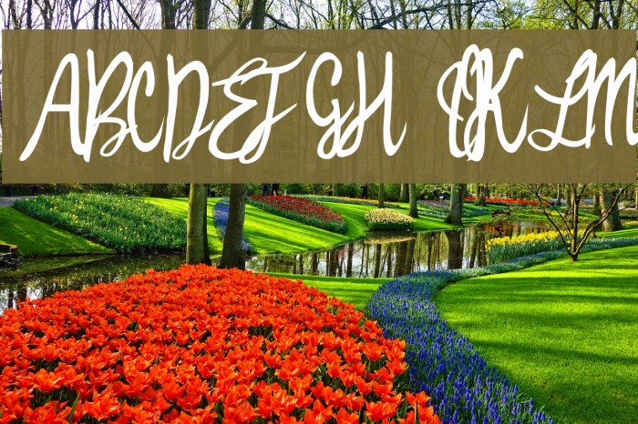 Witched Font examples