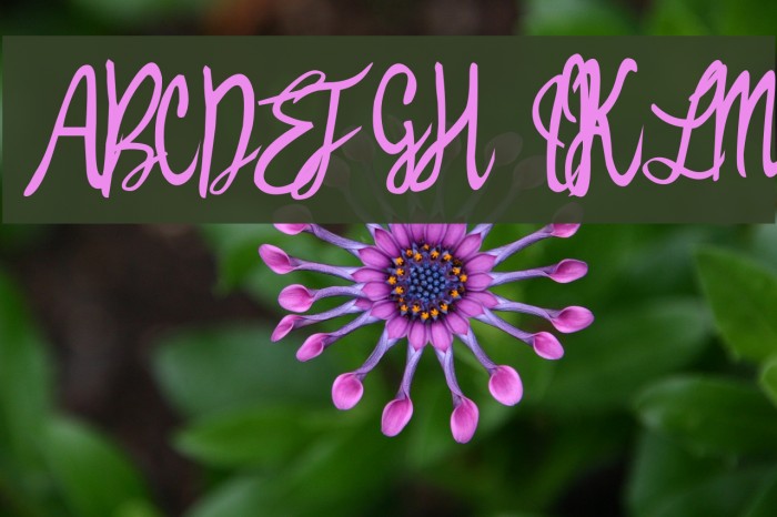 Witched Font examples