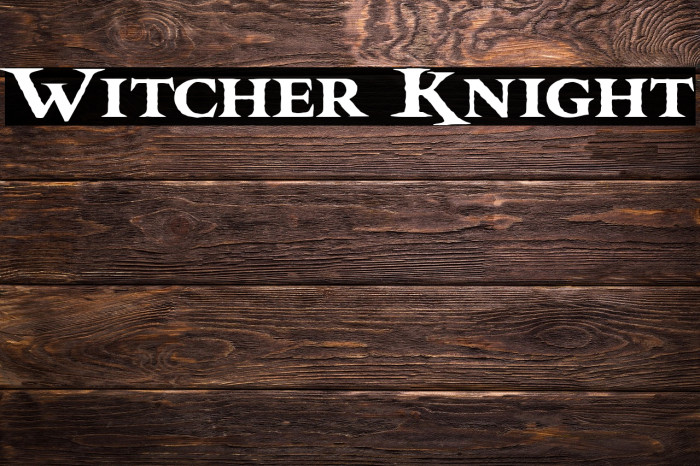 Witcher Knight Example 1