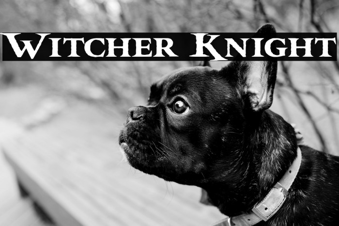 Witcher Knight Example 2