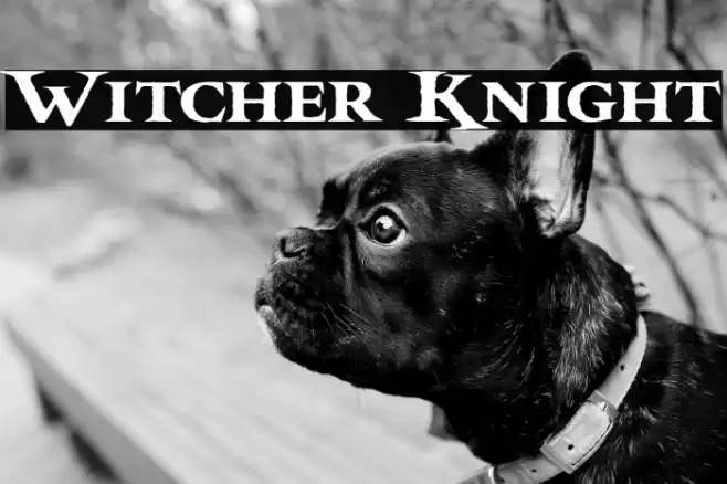 Witcher Knight Font examples