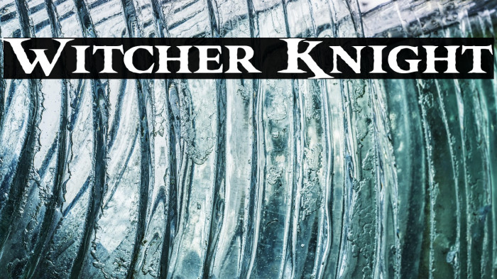 Witcher Knight Example 3