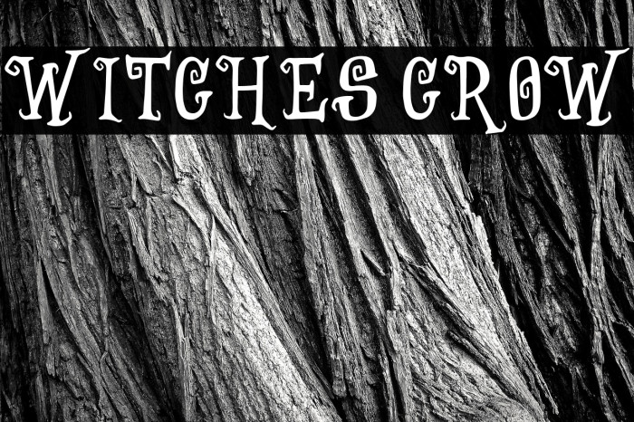Witches Crow Example 1