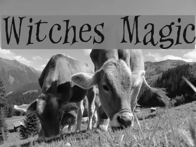Witches Magic Шрифта examples