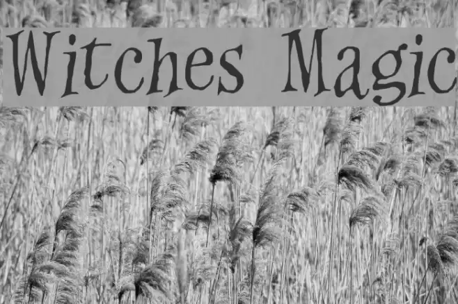 Witches Magic Шрифта examples