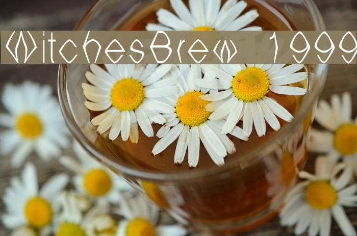 WitchesBrew 1999 Font examples