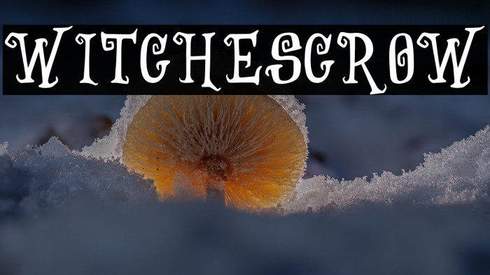 WitchesCrow Example 1