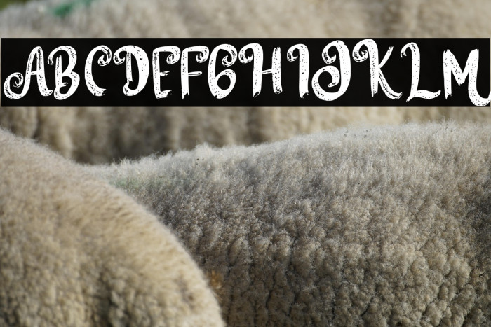 WitchgirlsFREE Example 3