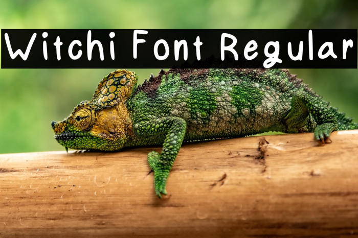 Witchi Font Regular फ़ॉन्ट examples