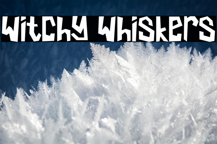 Witchy Whiskers Example 1