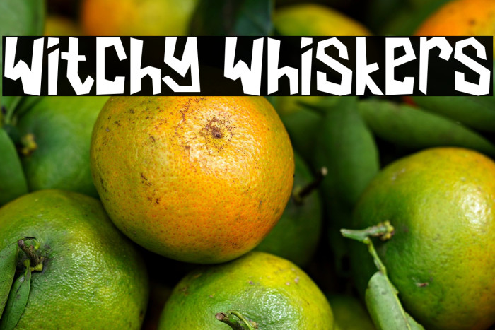 Witchy Whiskers Example 3