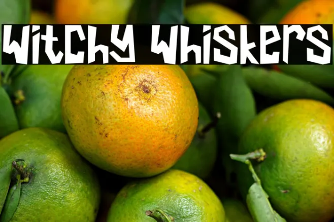 Witchy Whiskers Example 3
