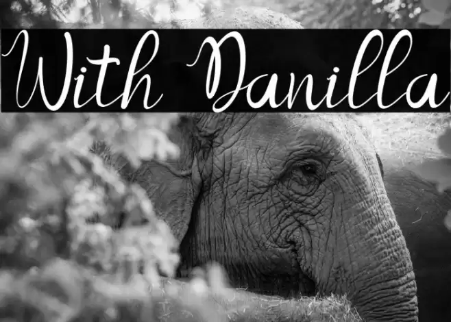 With Danilla Schriftart examples