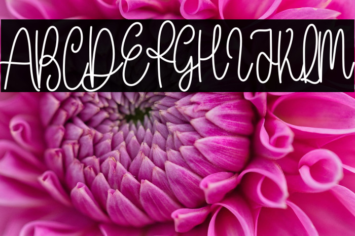 With Farmhouse Example 2