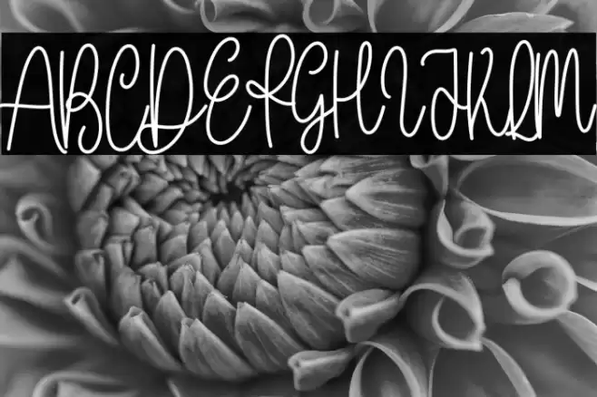 With Farmhouse फ़ॉन्ट examples