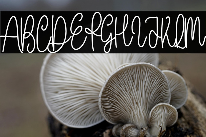 With Farmhouse Example 3