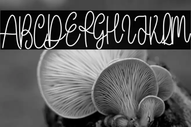 With Farmhouse फ़ॉन्ट examples