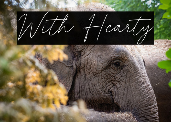 With Hearty Example 1